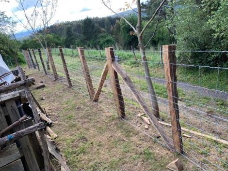 Trabajo realizado por Etxeluze Basolanak