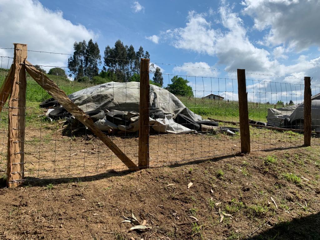 Trabajo realizado por Etxeluze Basolanak