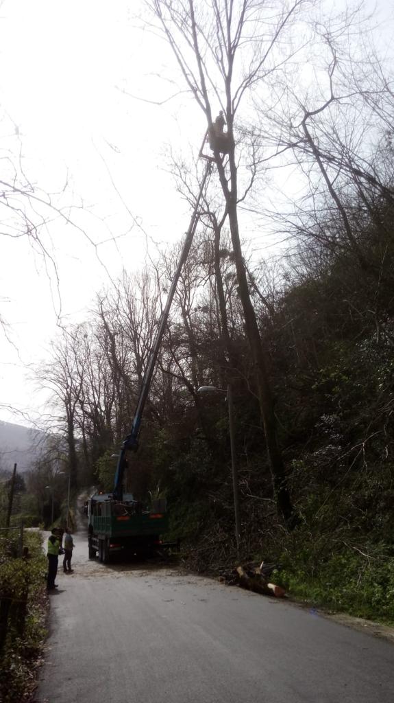 Trabajo realizado por Etxeluze Basolanak